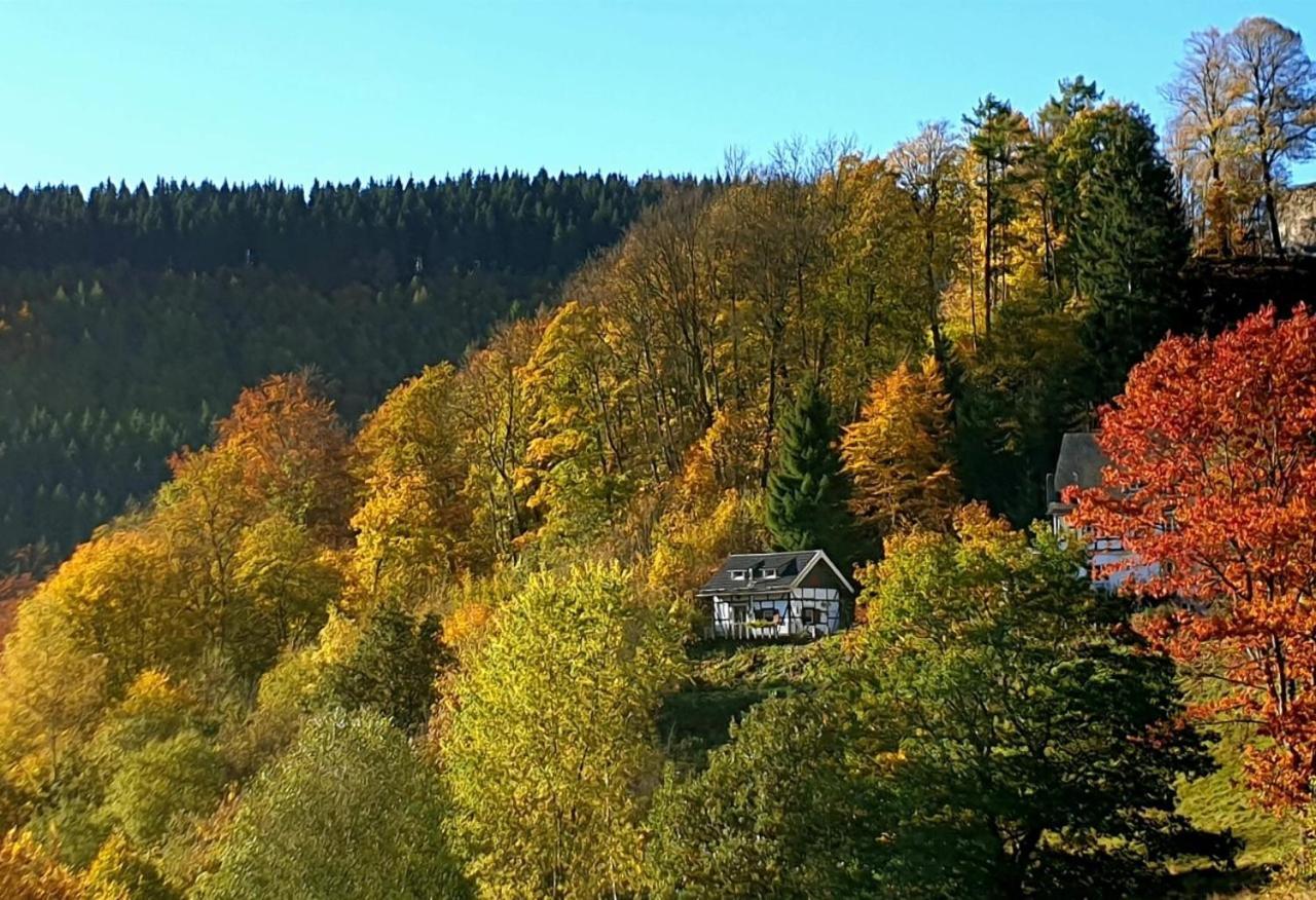 Villa Jagthaus Am Rappelstein à Schmallenberg Extérieur photo