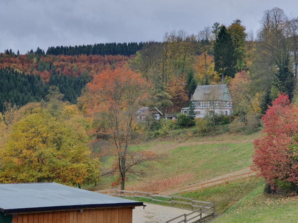 Villa Jagthaus Am Rappelstein à Schmallenberg Extérieur photo