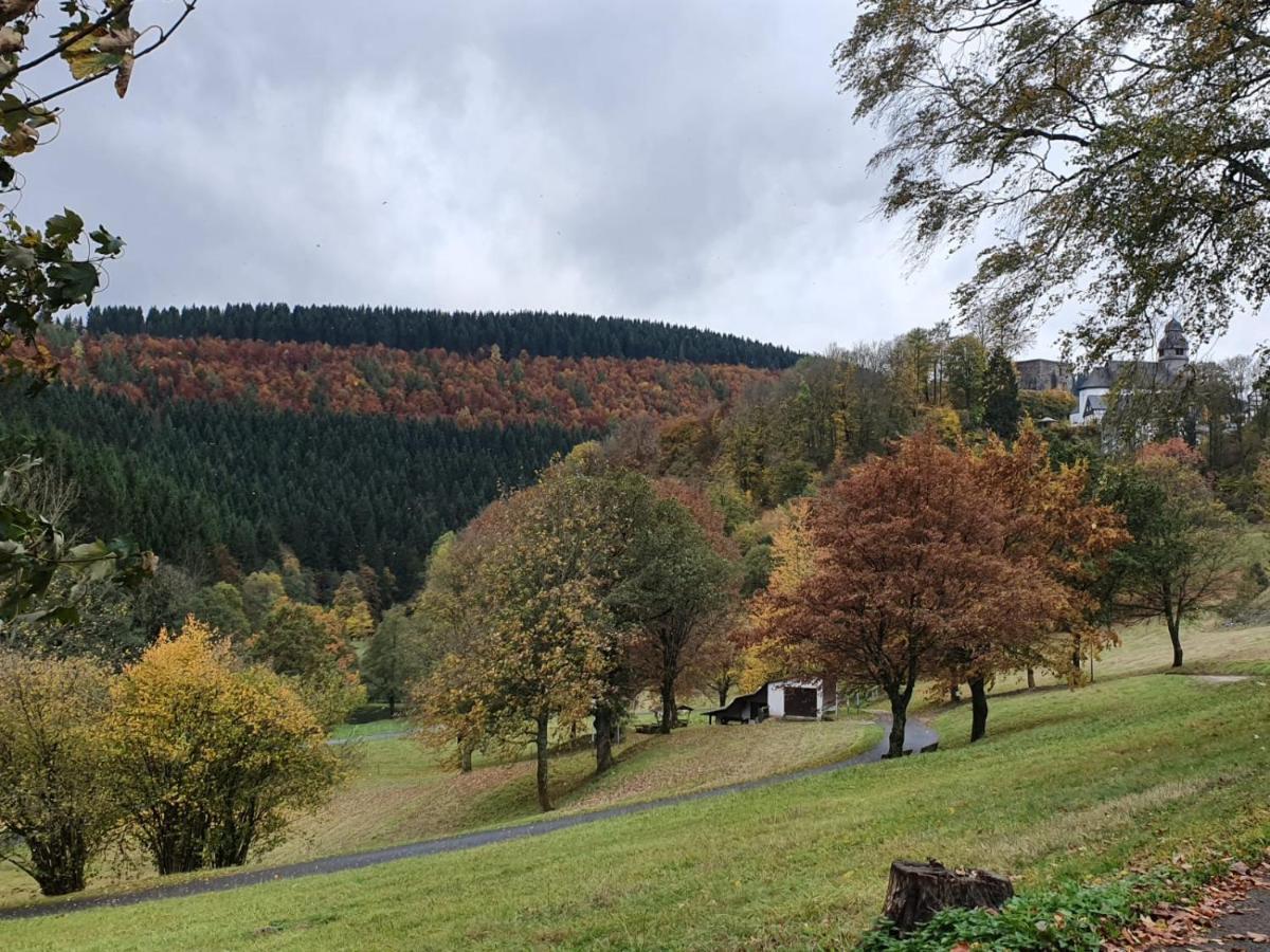 Villa Jagthaus Am Rappelstein à Schmallenberg Extérieur photo